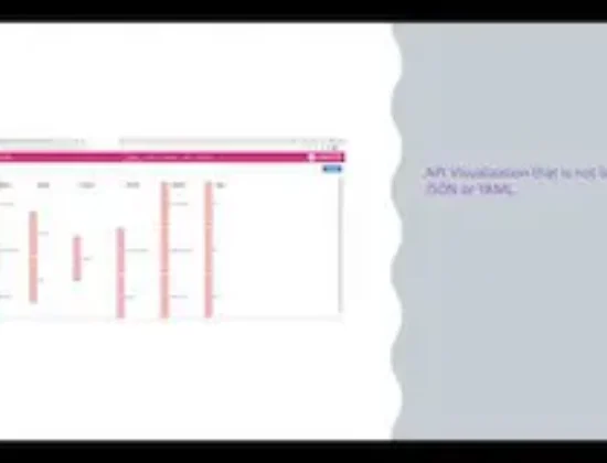 Conektto API Test Harness